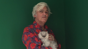 Image of Robyn Hitchcock - Ages 18+